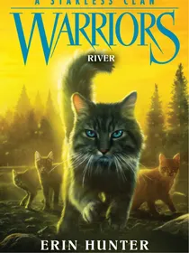 超级猫武士八穿越时空