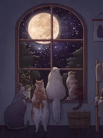 成长过后