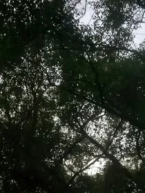 魔法学院之恶魔他半步睡神
