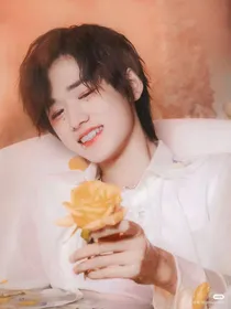 TF家族：团妻不好骗