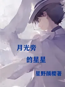 怪盗基德—月光旁的星星