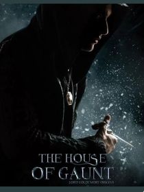 HP：里德尔的男夫人