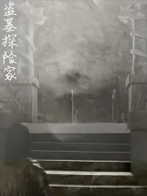 盗墓探险家