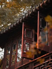 离开了，去粉红羊驼软件更新