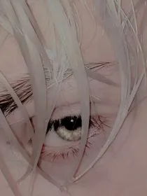 HP：与我