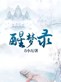 醒梦录