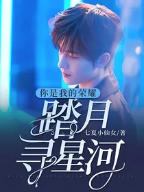 你是我的荣耀：踏月寻星河