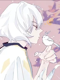 因光而遇——白菇