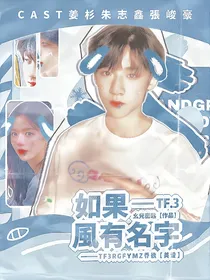 TF三代：如果风有名字
