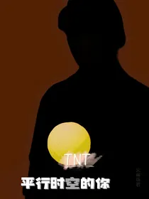 TNT：平行时空的另一个你