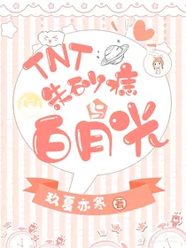 TNT：朱砂痣and白月光