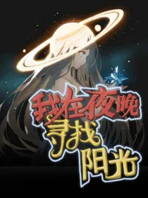 我在夜晚寻找阳光