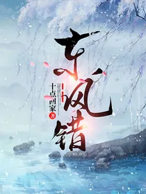 东华凤九之东风错
