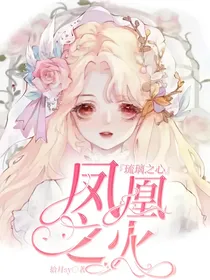 凤凰之火，琉璃之心