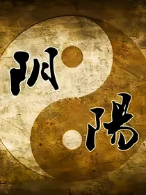 重生之阴阳颠覆
