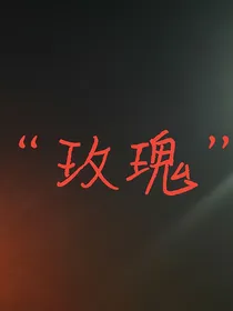 猫武士——玫瑰