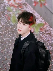综娱：娱乐圈女子都是我的