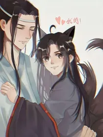 猫猫饲养指南