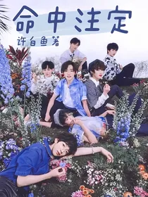 女尊TNT：命中注定