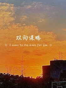 双向谋略