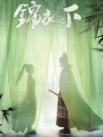 锦衣之下：得你足矣