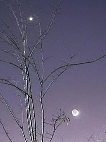 唐门之红尘