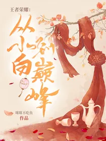 王者荣耀：从小白到巅峰