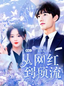 系统之从网红到顶流