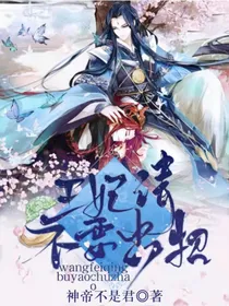 王妃请不要出招