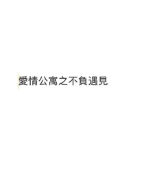 爱情公寓之不负遇见
