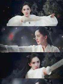 斛珠夫人续