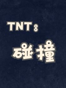 TNT：碰撞