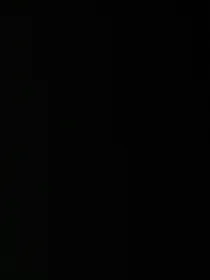 ss的视角