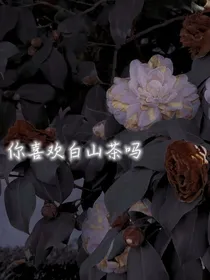 你喜欢白山茶吗