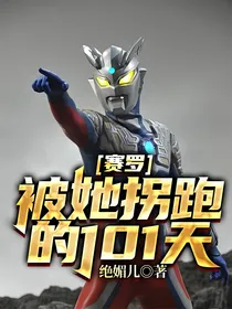 赛罗：被她拐跑的101天