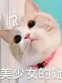 巧巧的日记本——心情记录