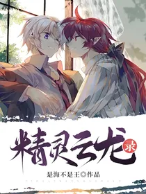 精灵云龙录