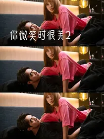 你微笑时很美第二季（白编）