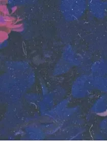 飞向月球指南