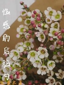 性感的后脑勺