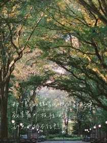 盛夏即是人间
