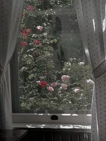全男神：盛世白莲系统