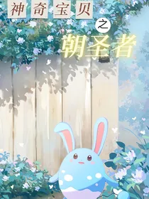 神奇宝贝之朝圣者