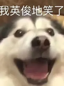 穿书攻略之三个哥哥都对我真香了