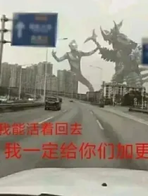 图库11