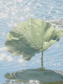 你真的是校霸吗