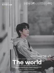 女神降临：The—world