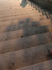 我们的十八岁（青春和友谊）