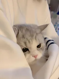 snh48——这河里吗