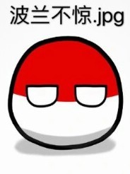 波兰球：日常生活